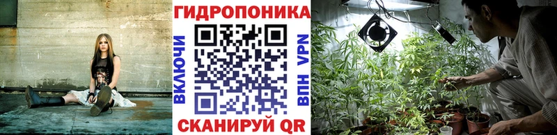 купить наркотик Волосово Каннабис MAZAR